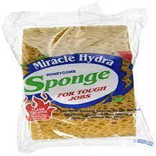 Honeycomb Sponge