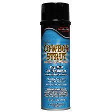 QUEST SPECIALTY Aerosol Dry Spray Cowboy Strut