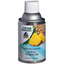 ODOR ASSASSIN Juicy Tropical Metered Air Freshener