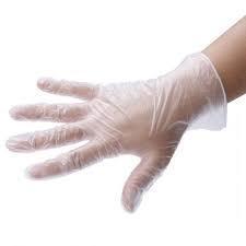 Powder Free Vinyl Gloves (clear white),  XLarge